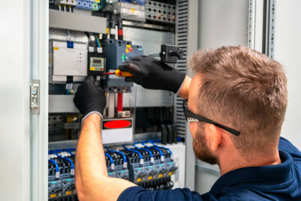 Best Electric Panel Repair  in Hinckley, MN